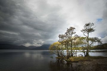 Herbstbäume in Loch Lomont Schottland von Sjoukelien van der Kooi