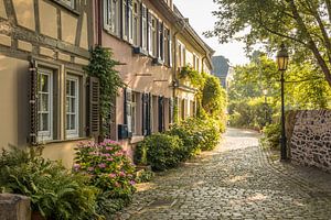 Blumengesäumte Altstadtgasse in Frankfurt-Höchst