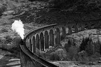 The Hogwarts Express