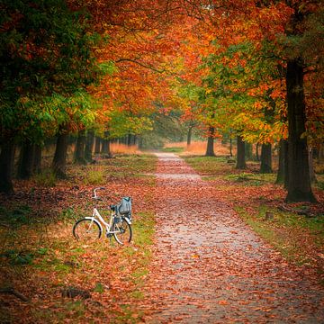 Fietsen in de herfst van John Goossens Photography