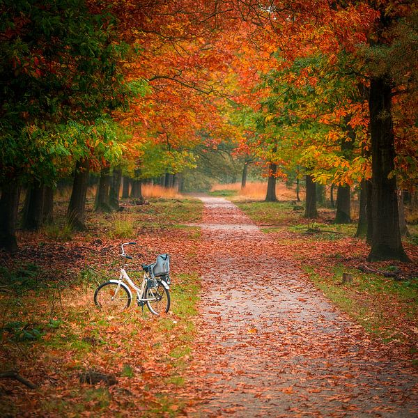 Le cyclisme en automne par John Goossens Photography