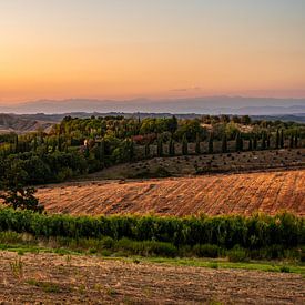 Gouden uur vlak voor zonsondergang in Toscane van Dafne Vos