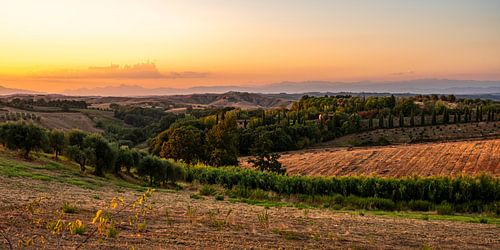 Golden hour just before sunset in Tuscany