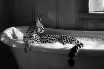 Serval dans la baignoire - une charmante œuvre d'art pour vos toilettes sur Felix Brönnimann