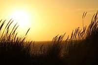 Untergehende Sonne