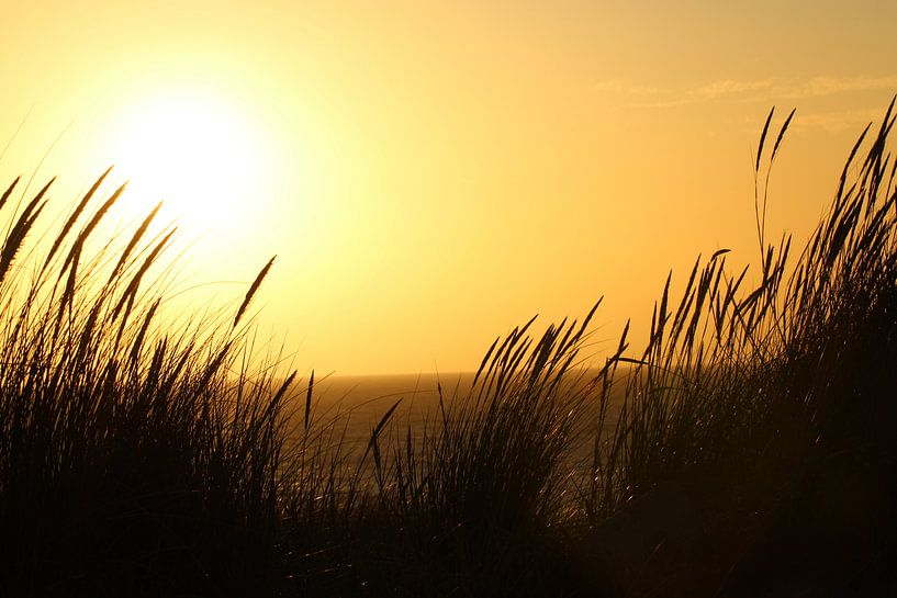 Setting sun by Chloë Luyckx