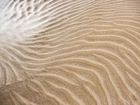 Wind in the sand