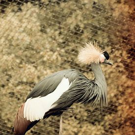 Vogel op paal van Thamara Janssen