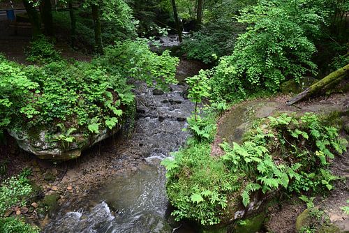 Vue d'une chute d'eau dans la forêt