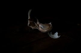 Garlic on a wooden table - painterly minimalism still-life of traditional living by John Quendag