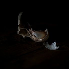 Garlic on a wooden table - painterly minimalism still-life of traditional living by John Quendag