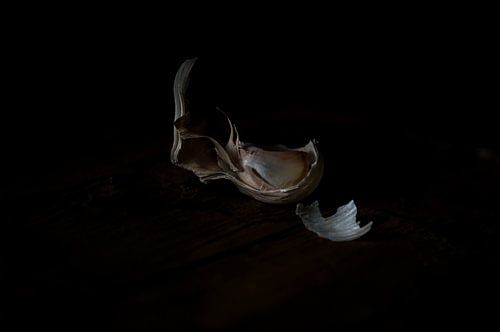 Knoflook op een houten tafel - schilderkunstig minimalistisch stilleven van het traditionele leven