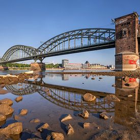 Köln, Nordrhein-Westfalen, Deutschland von Alexander Ludwig