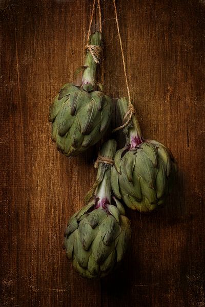 hanging artichokes by Saskia van der Linden