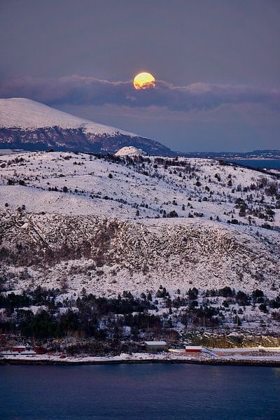 Rising full moon over Ålesund, Norway by qtx