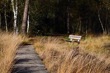 Reverie bench. by Vrije Vlinder Fotografie