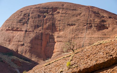 Uluru