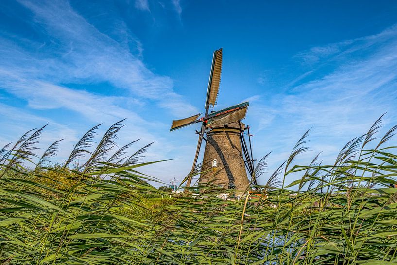 Kinderdijk - molen van Maurice Meerten