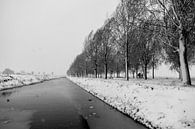 Winterse Bomenlaan Nederland van Jarno Dorst thumbnail