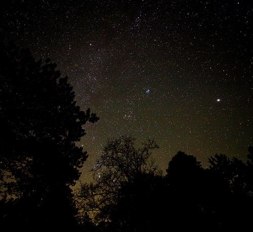 Sterrennacht op Vlieland