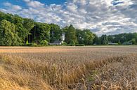  Grain Field Hoog Soeren by Jan Koppelaar thumbnail