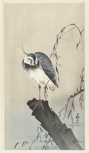 Kiebitz auf Baumstumpf, Ohara Koson, 1900 - 1930