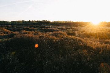 Zonsondergang Gasterse Duinen van Rob Veldman