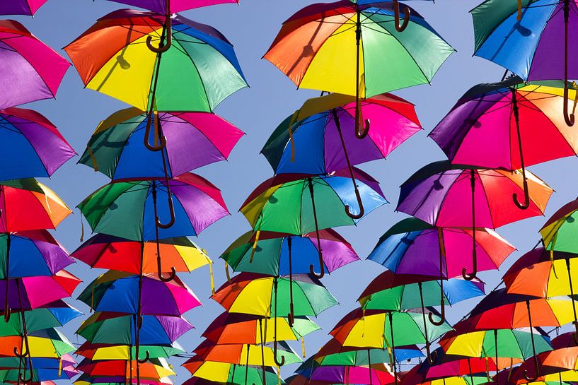Umbrellas by Bas van der Burgt