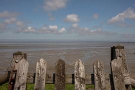 vasières à paessens mudhole