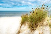 North Sea impression