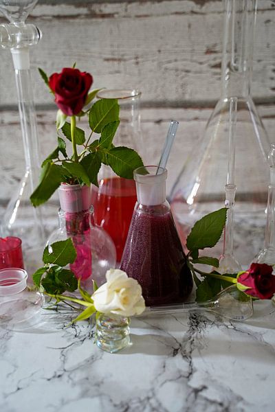 Vin mousseux avec de la liqueur de sureau. par Babetts Bildergalerie
