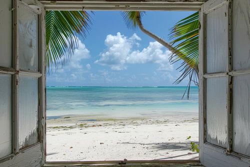 Windows for your home