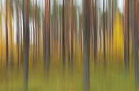 Abstracte herfst van Willemke de Bruin thumbnail