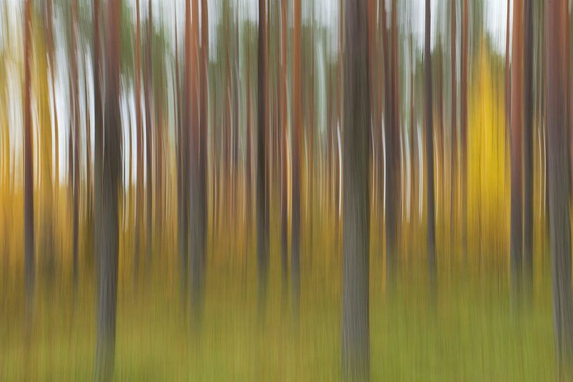 Abstracte herfst van Willemke de Bruin