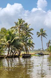Achterwaters in India. van Floyd Angenent