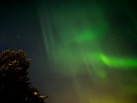 Noorderlicht