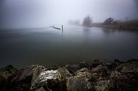 Rivierlandschap in de mist (Wageningen) van Eddy Westdijk thumbnail