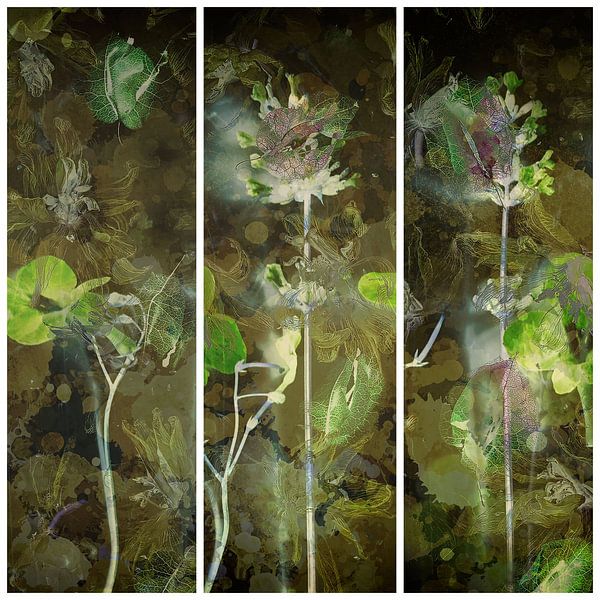 Triptych with hellebores and bougainvillea . by Saskia Dingemans Awarded Photographer