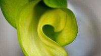 Swirley lines