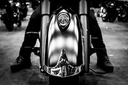 Indian Chief Dark Horse