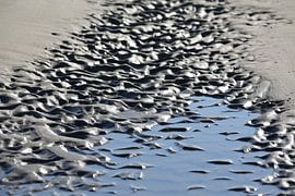 zand en water von marijke servaes