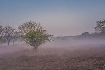 Landschaft von Carla Eekels