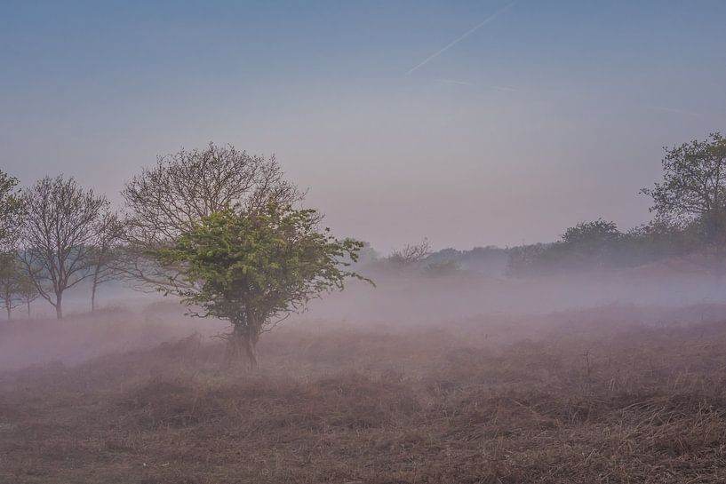 Landschaft von Carla Eekels