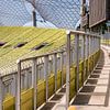 Olympiastadion, Munich (position tribune) sur John Verbruggen