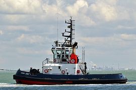 Union Jade von Henk Noevers