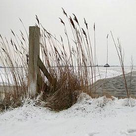 Kein Zweifel von Lisette LisetteOpTexel