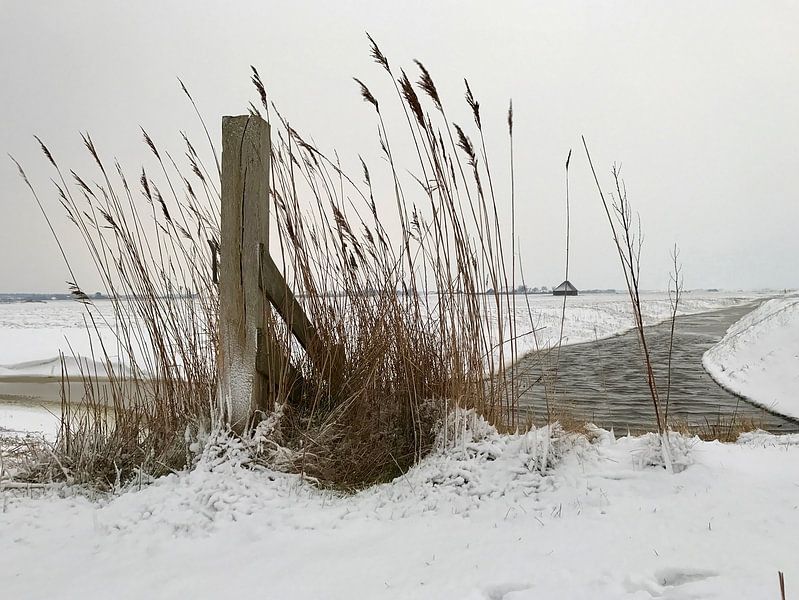 There's no question about it by Lisette LisetteOpTexel