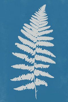 Moderne botanische Kunst. Farn in Weiß auf Blau von Dina Dankers
