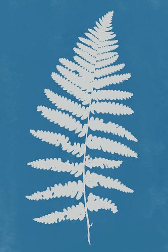 Moderne botanische Kunst. Farn in Weiß auf Blau
