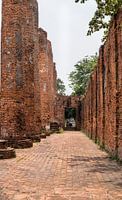 Path of high pillars in red stone at temple